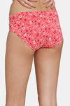 Zivame Anti-Microbial Low Rise Full Coverage Hipster Panty (Pack of 3) - Multicolor — thumbnail 12